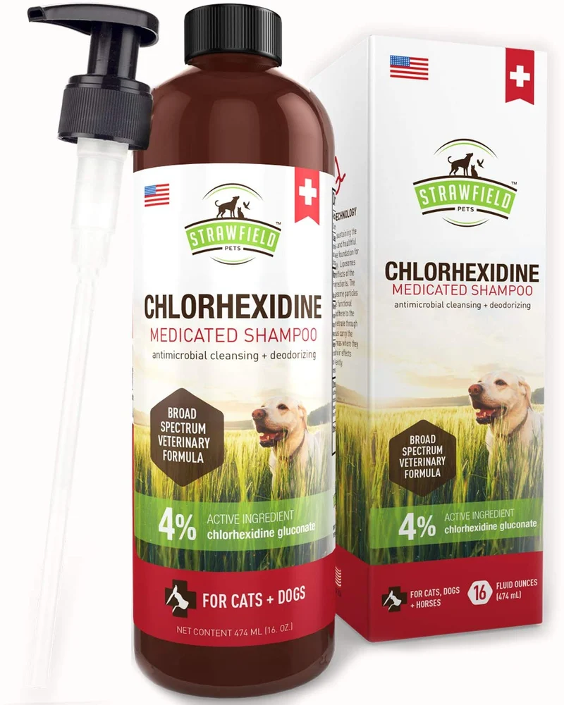 Champú de cloro hexidina para perros, gatos – 16 oz – Champú medicado para perros y gatos, lavado de mascotas para pieles irritadas, tratamiento de puntos calientes, mango, olor, infección de levadura, alivio de picazón de alergia, anillo, antifúngico, Es