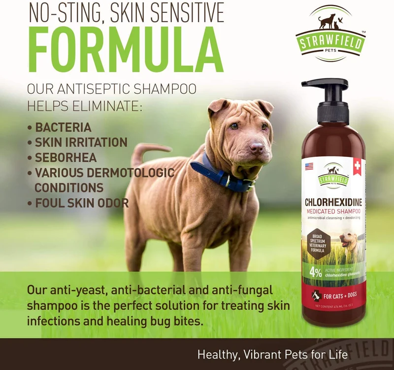 Champú de cloro hexidina para perros, gatos – 16 oz – Champú medicado para perros y gatos, lavado de mascotas para pieles irritadas, tratamiento de puntos calientes, mango, olor, infección de levadura, alivio de picazón de alergia, anillo, antifúngico, Es