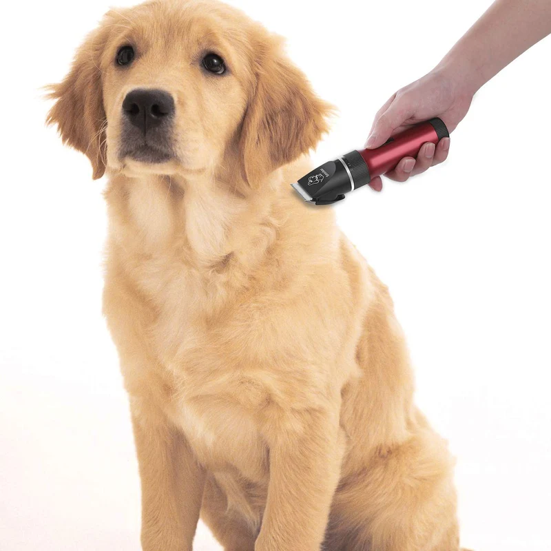 Sminiker - Cortapelos inalámbrico recargable con bolsa de almacenamiento de 5 velocidades, cortador de animales profesional