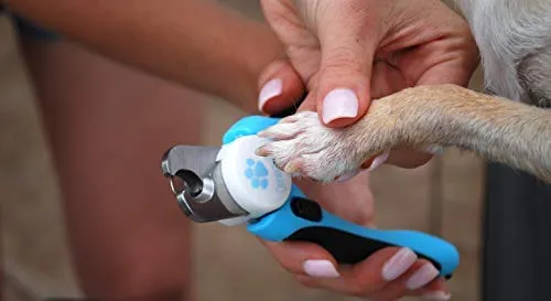 El mejor cortauñas para perros con sensor rápido, fácil de usar, cortauñas para perros, fácil de usar y seguro para que puedas cortar con confianza