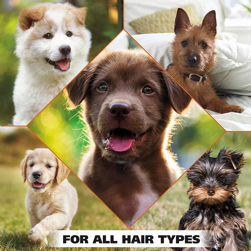 Champú suave para cachorros Wahl para mascotas de Cornflower Aloe con ingredientes para aseo de perros sucios 24 onzas