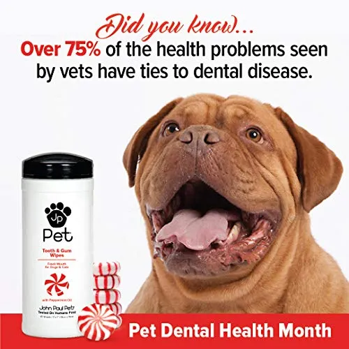 John Paul Pet, toallitas para mascotas para perros y gatos