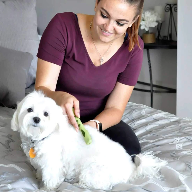 Eliminador de tapetes Safari por Coastal con cuchillas de acero inoxidable para quitar fácilmente las alfombrillas y enredos de perros de todos los tipos de abrigo.