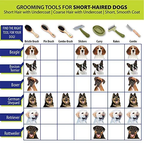 Safari by Coastal Dual-Sided Shedding Blade with Stainless Steel Blade De-Shedding Tool for All Dog Coat Types