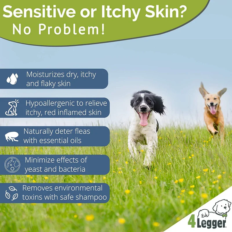 4Legger USDA - Champú orgánico certificado para perros, natural e hipoalergénico con aloe y limoncillo, calmante para piel normal, seca, irritante o alérgica, biodegradable, fabricado en Estados Unidos, 16 onzas