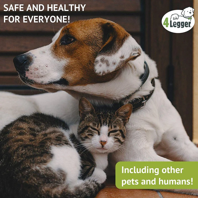 4Legger USDA - Champú orgánico certificado para perros, natural e hipoalergénico con aloe y limoncillo, calmante para piel normal, seca, irritante o alérgica, biodegradable, fabricado en Estados Unidos, 16 onzas