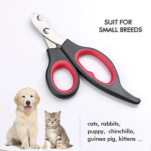 Chibuy Tijeras profesionales de aseo para mascotas con punta redonda de acero inoxidable cortador de ojos para perros y gatos, herramienta de aseo profesional, tamaño 6.70 pulgadas x 2.6 pulgadas x 0.43 pulgadas