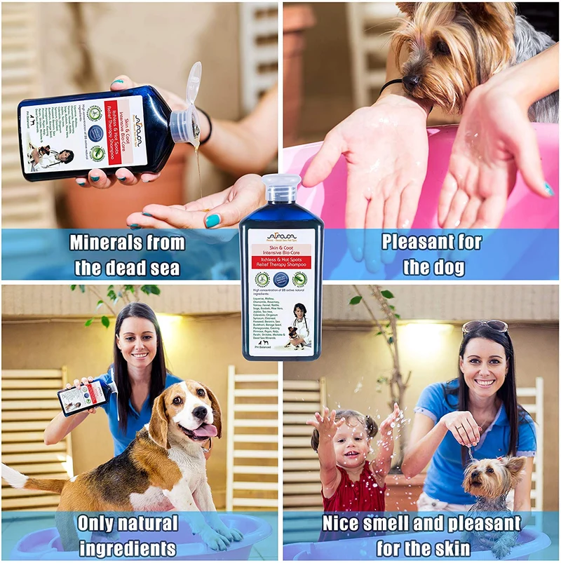 Arava Champú Natural Medicado Perro - Antibacteriano Antihongos Anti YEast Anti ITCH Perro Champú - Piel Saludable y Abrigo - primeros auxilios en puntos calientes Rascadores de Gusano Abrasiones e Infecciones Dermatológicas