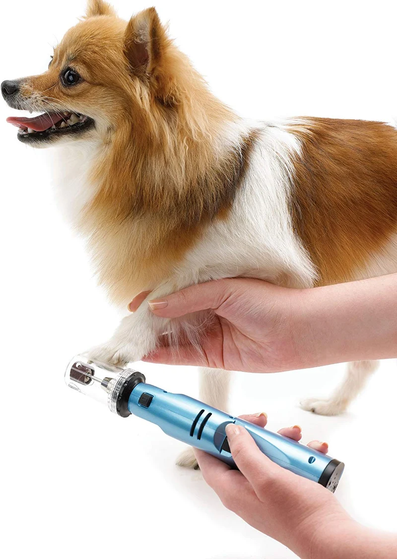 Oster Gentle Paws - Molinillo de uñas para perros y gatos, 2 velocidades (078129-600-000)