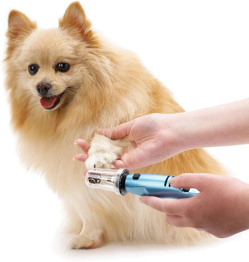 Oster Gentle Paws - Molinillo de uñas para perros y gatos, 2 velocidades (078129-600-000)