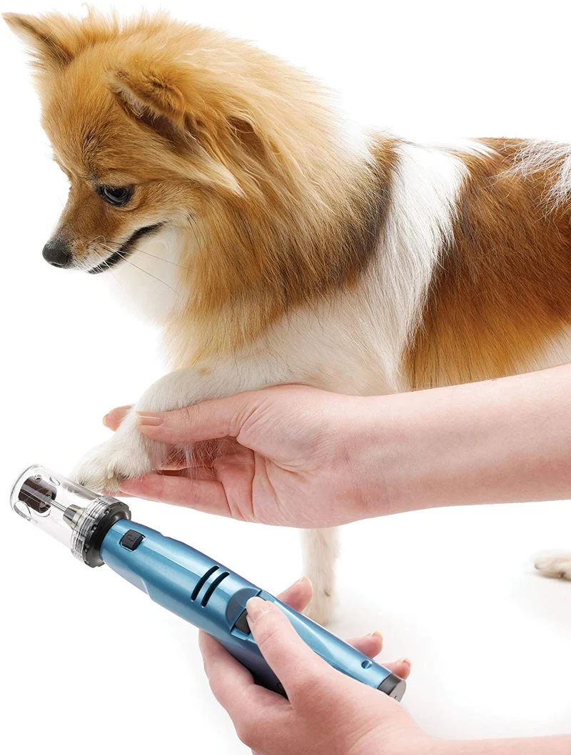 Oster Gentle Paws - Molinillo de uñas para perros y gatos, 2 velocidades (078129-600-000)