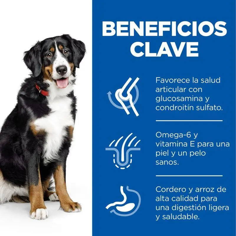 Hill'S Science Plan Adult Large Breed Cordero y Arroz 14 kg Alimento para Perros