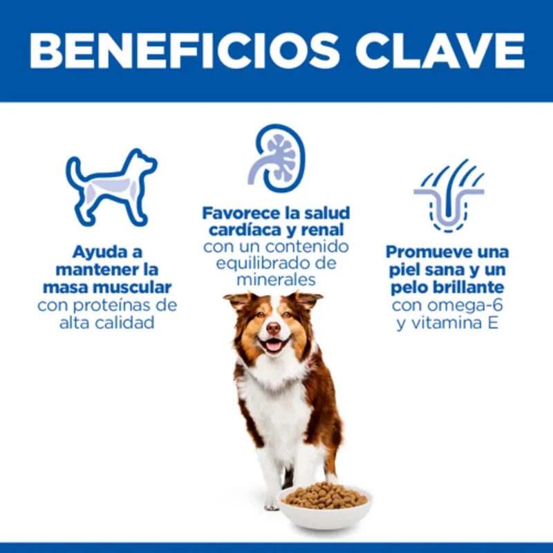Hill'S Science Plan Mature Adult 7+ Medium Pollo 2,5 kg Alimento para Perros