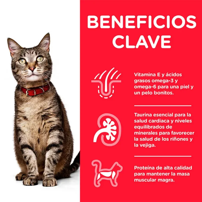 Hill'S Science Plan Adult Ternera 85 g Sobre Alimento para Gatos
