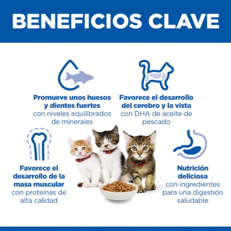 Hill'S Science Plan Kitten Pollo 300 g Alimento para Gatos
