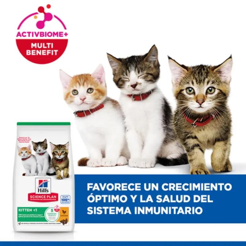 Hill'S Science Plan Kitten Pollo 300 g Alimento para Gatos