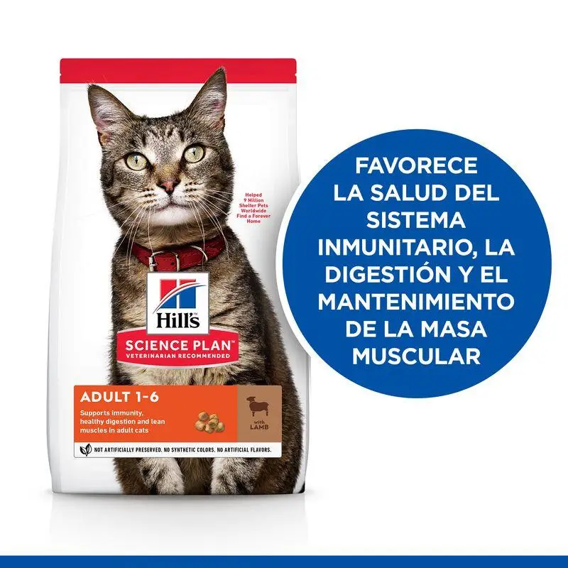 Hill'S Science Plan Adult Cordero y Arroz 1,5 kg Alimento para Gatos
