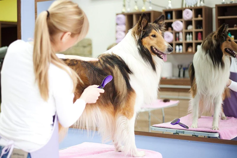 Hertzko Cepillo suave para mascotas para perros y gatos con pelo largo o corto – ideal para desenredar y quitar el pelo suelto o de cobertizo – ideal para cepillado diario y para piel sensible