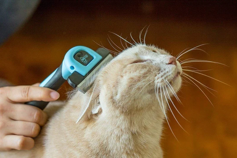 Chirpy mascotas perro y gato cepillo para polvo para cargas