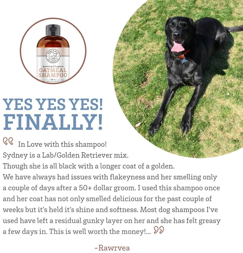 Champú y acondicionador para perros, de la marca Paws & Pals, 20 onzas, Transparente
