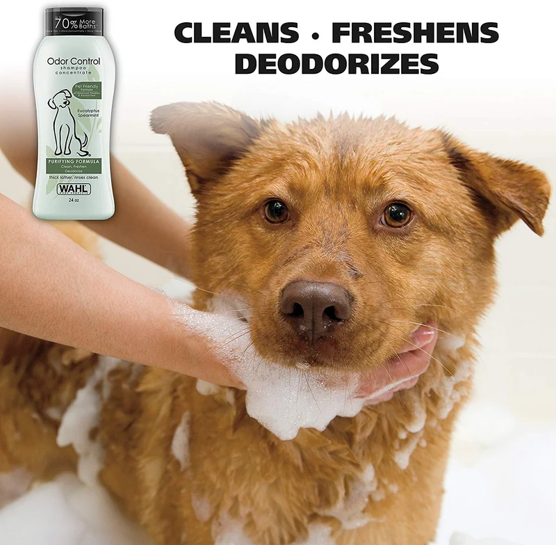 Wahl Champú para perros y mascotas con control de olor, desodorante de animales de eucalipto y menta para limpieza y frescura, 24 onzas