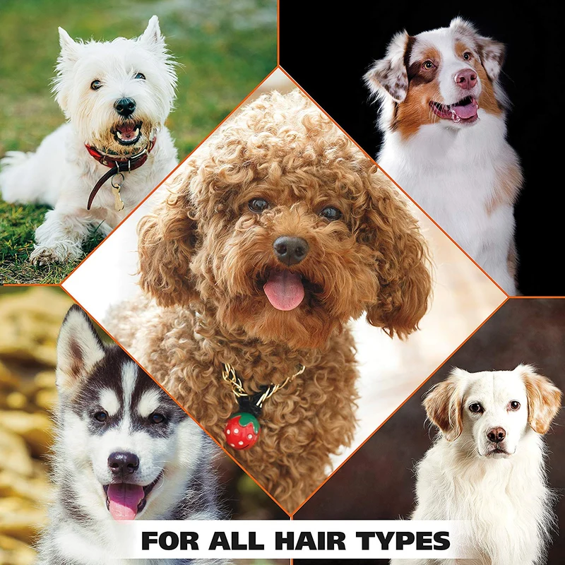 Wahl Champú para perros y mascotas con control de olor, desodorante de animales de eucalipto y menta para limpieza y frescura, 24 onzas