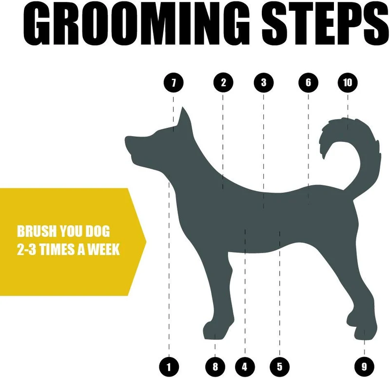 BV Cepillo para perro y gato, peine para aseo de mascotas, cerdas de 2 lados y pines para perros de pelo largo y corto, eliminando pelos