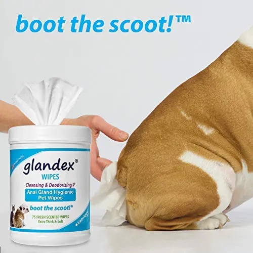 Glandex - Toallitas higiénicas para mascotas, limpieza y desodorizante, para perros y gatos con vitamina E, acondicionadores de piel y aloe