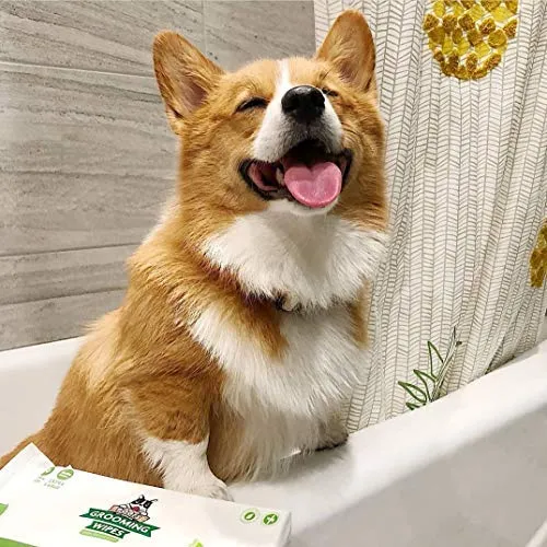 Pogi's Grooming Wipes, 100 toallitas antisépticas para perros y gatos