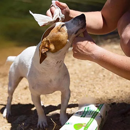 Pogi's Grooming Wipes, 100 toallitas antisépticas para perros y gatos