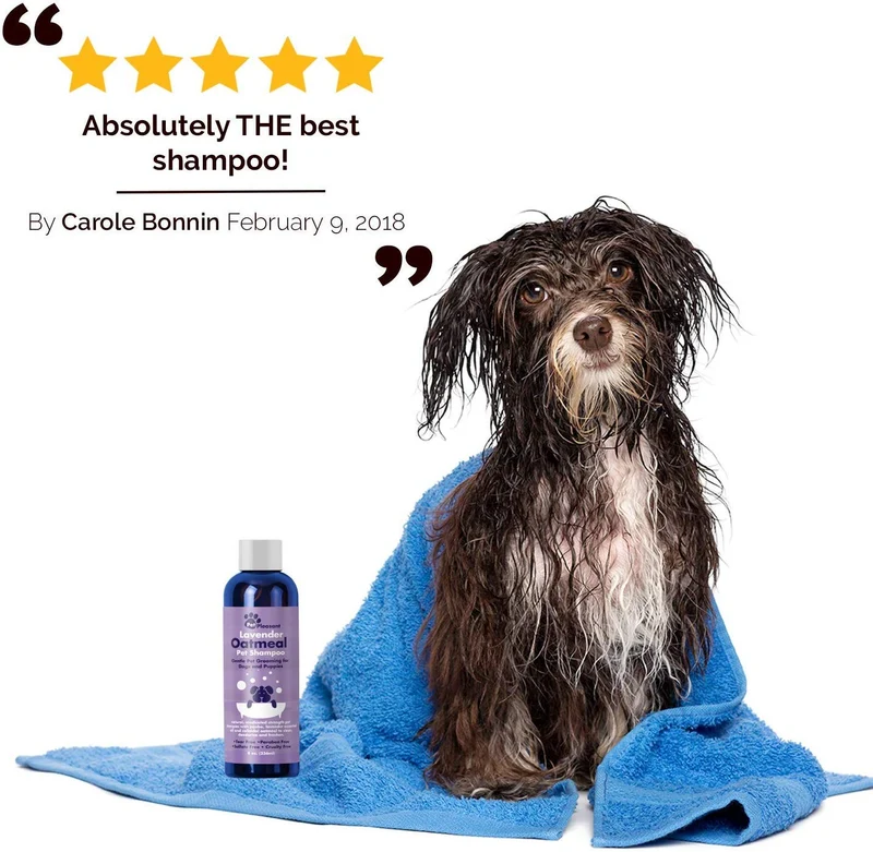HONEYDEW Champú para perros con harina de avena coloidal con aceites esenciales de lavanda pura – Champú sin desgarros para el alivio de la piel irritada seca – Eliminador de olores para mascotas – Champú de aseo