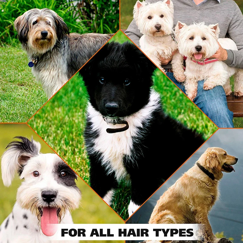 Wahl Doggie Desodorante Natural.