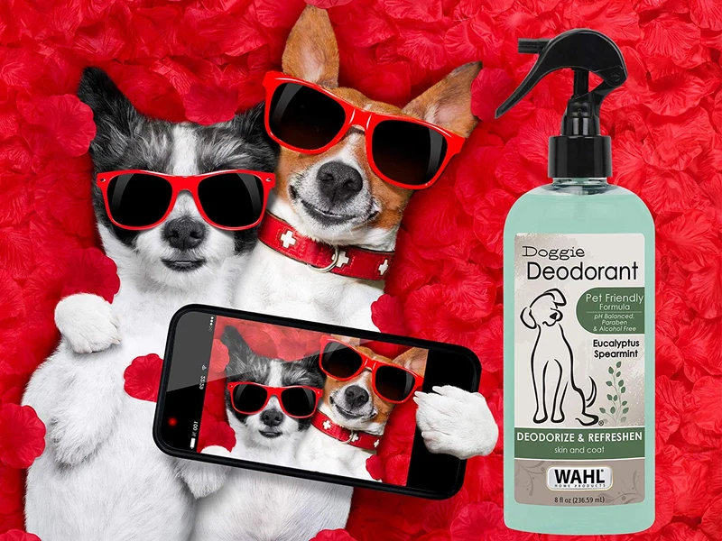 Wahl Doggie Desodorante Natural.