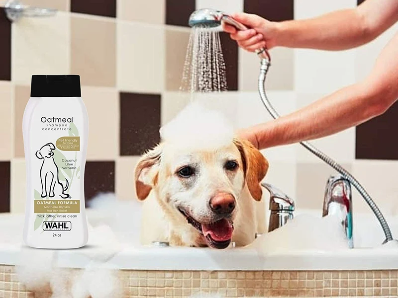 Wahl Champú para perros para alivio de picazón y piel seca, fórmula de avena con verbena de coco y ingredientes 100% naturales, 24 onzas