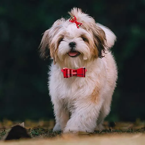 Collar con lazo para perro con campana, bandana clásica a cuadros, baberos triangulares, accesorios para bufanda, paquete de 2 lazos, para cachorros y gatos