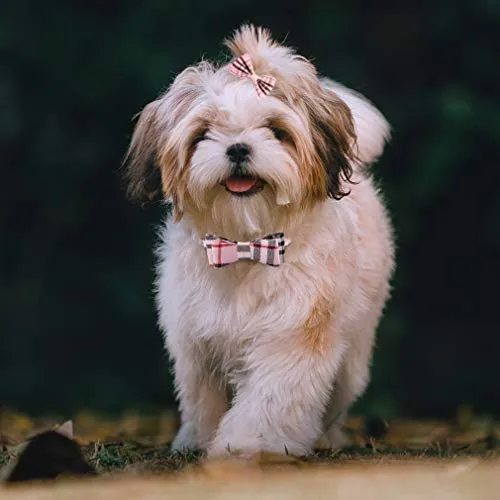Collar con lazo para perro con campana, bandana clásica a cuadros, baberos triangulares, accesorios para bufanda, paquete de 2 lazos, para cachorros y gatos