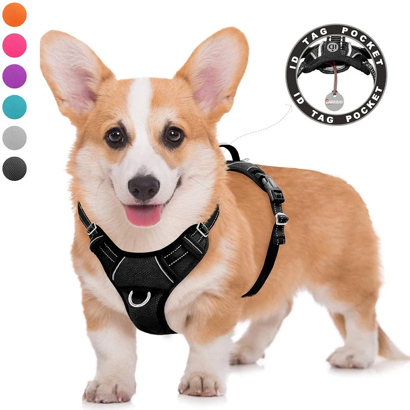 BARKBAY - Arnés para perro con clip frontal y asa de fácil control
