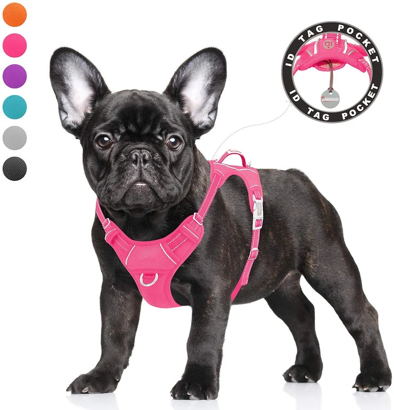 BARKBAY - Arnés para perro con clip frontal y asa de fácil control