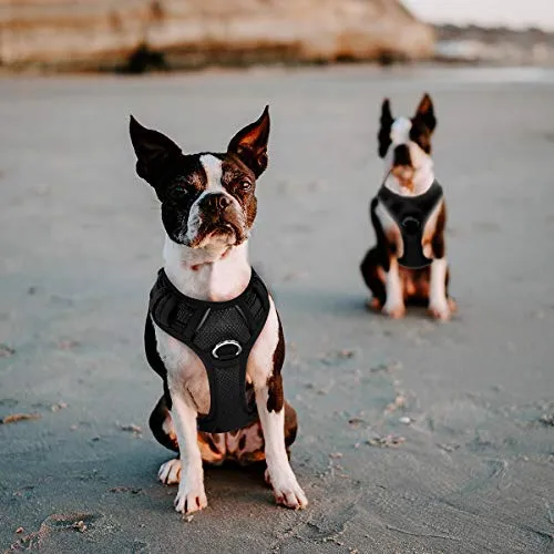 BARKBAY - Arnés para perro con clip frontal y asa de fácil control