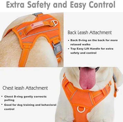 BARKBAY - Arnés para perro con clip frontal y asa de fácil control