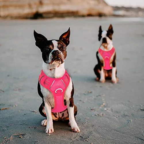 BARKBAY - Arnés para perro con clip frontal y asa de fácil control