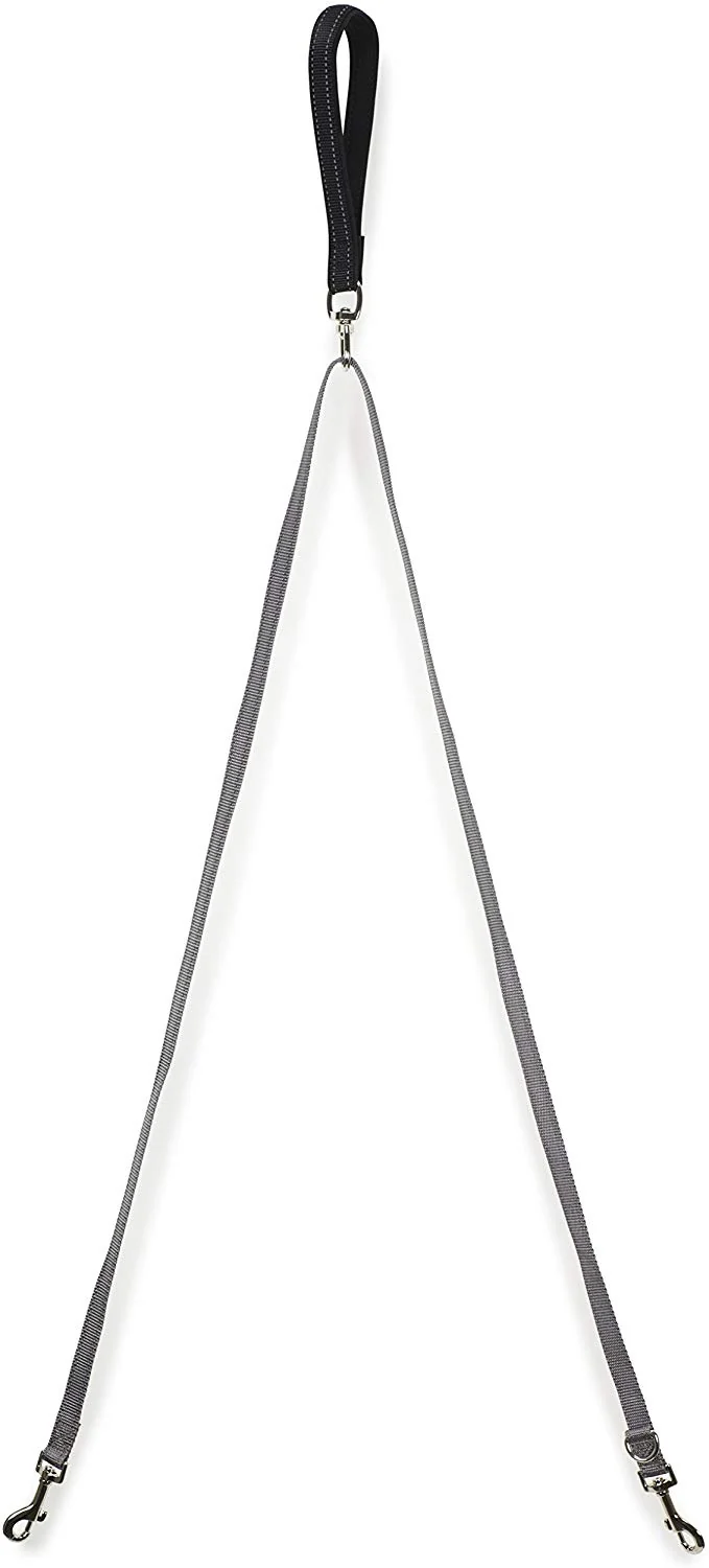 Correa de control de dos puntos PetSafe, correa de nailon acolchada y reflectante que se convierte en una sola correa, funciona con arneses 3 en 1.