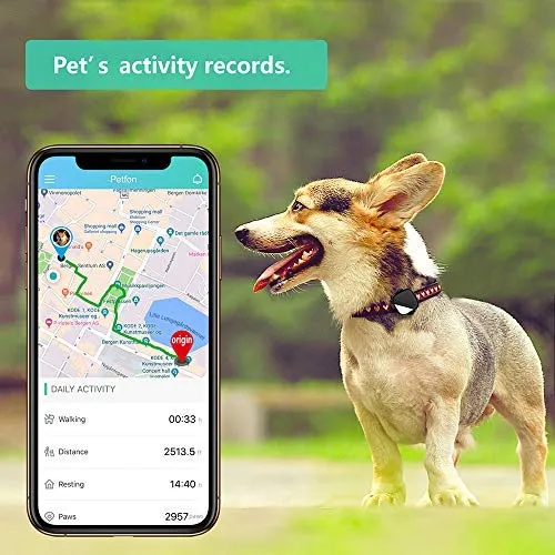 Rastreador GPS para mascotas para perros, gatos, sin tarifa mensual, dispositivo de seguimiento en tiempo real para múltiples mascotas