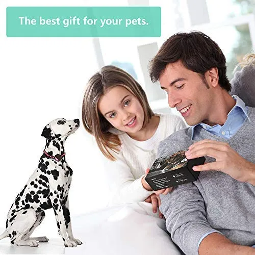 Rastreador GPS para mascotas para perros, gatos, sin tarifa mensual, dispositivo de seguimiento en tiempo real para múltiples mascotas