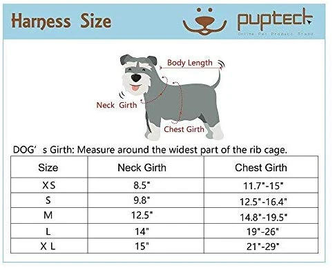 PUPTECK Arnés de malla suave para perro con correa – Chaleco de paseo acolchado a cuadros ajustable para cachorro sin arneses – Chaleco para mascotas