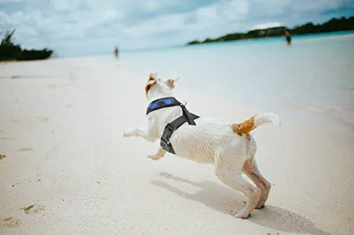 PUPTECK Arnés de malla suave para perro con correa – Chaleco de paseo acolchado a cuadros ajustable para cachorro sin arneses – Chaleco para mascotas