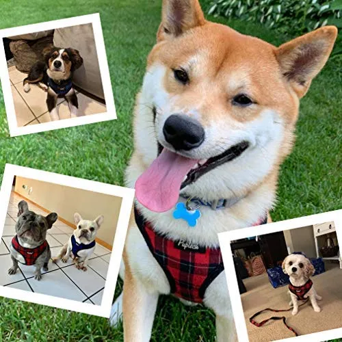 PUPTECK Arnés de malla suave para perro con correa – Chaleco de paseo acolchado a cuadros ajustable para cachorro sin arneses – Chaleco para mascotas
