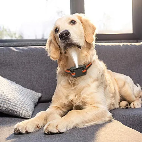 Zeonetak collar de corteza en spray para entrenamiento de perro, Citronella Control Stop ladrando collar para perros pequeño, mediano, grande, ajustable, recargable, impermeable, sin golpes y humanos