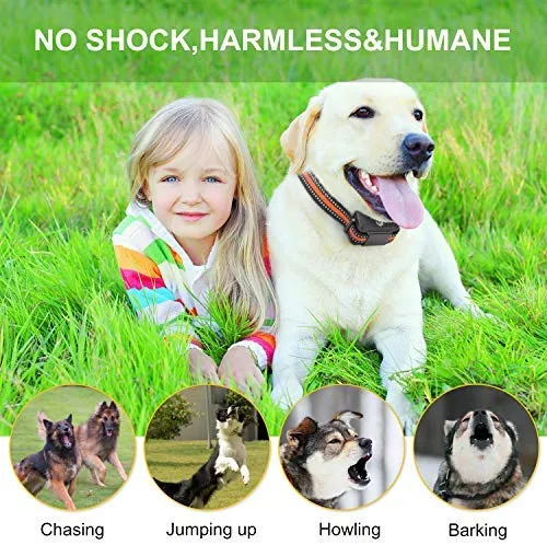 Zeonetak collar de corteza en spray para entrenamiento de perro, Citronella Control Stop ladrando collar para perros pequeño, mediano, grande, ajustable, recargable, impermeable, sin golpes y humanos