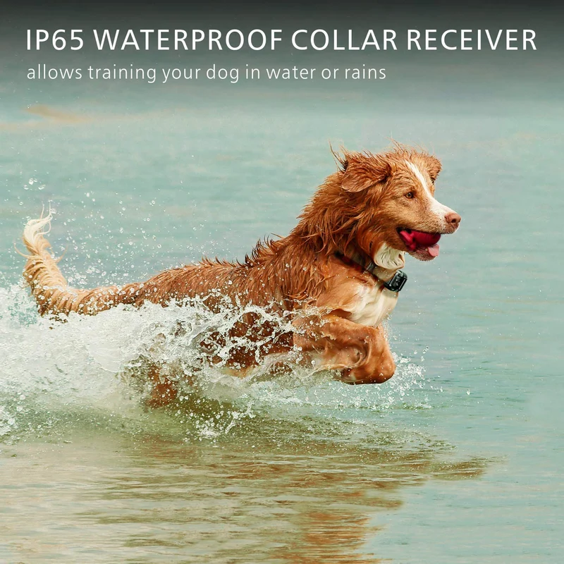 F-color collar de entrenamiento para perro, recargable e impermeable, collar de choque para perros con mando a distancia, 2600 pies, con luz LED vibrante de choque 4 modos para perros pequeños, medianos y grandes, color negro
